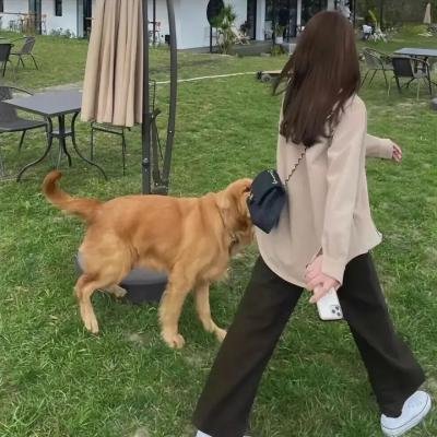 暮色心约
